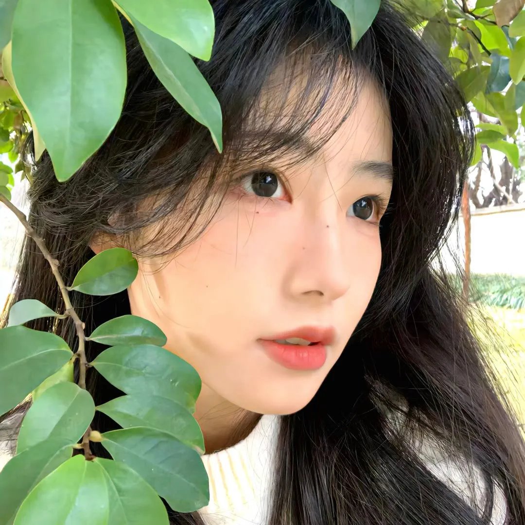 情歌风波