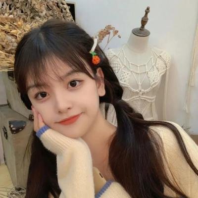 双子姐妹