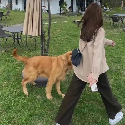 挖道兔